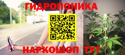винт Гусев